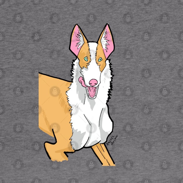 Ibizan Hound by ApolloOfTheStars